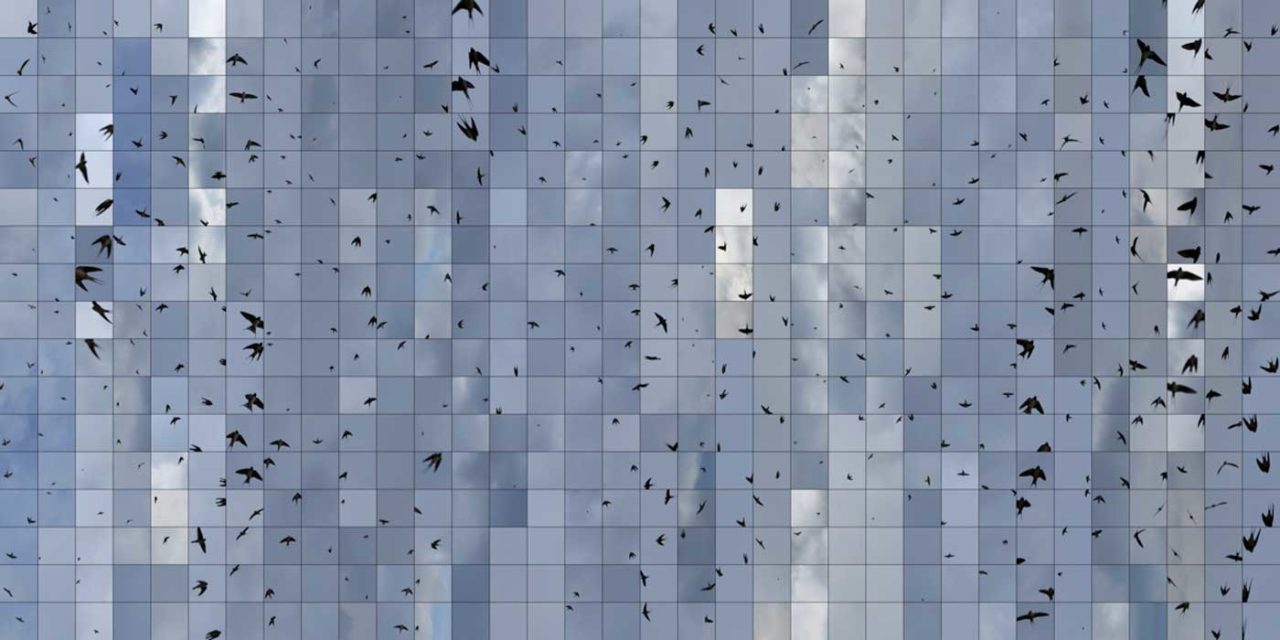 LE BLEU DU CIEL - Arles Contemporain