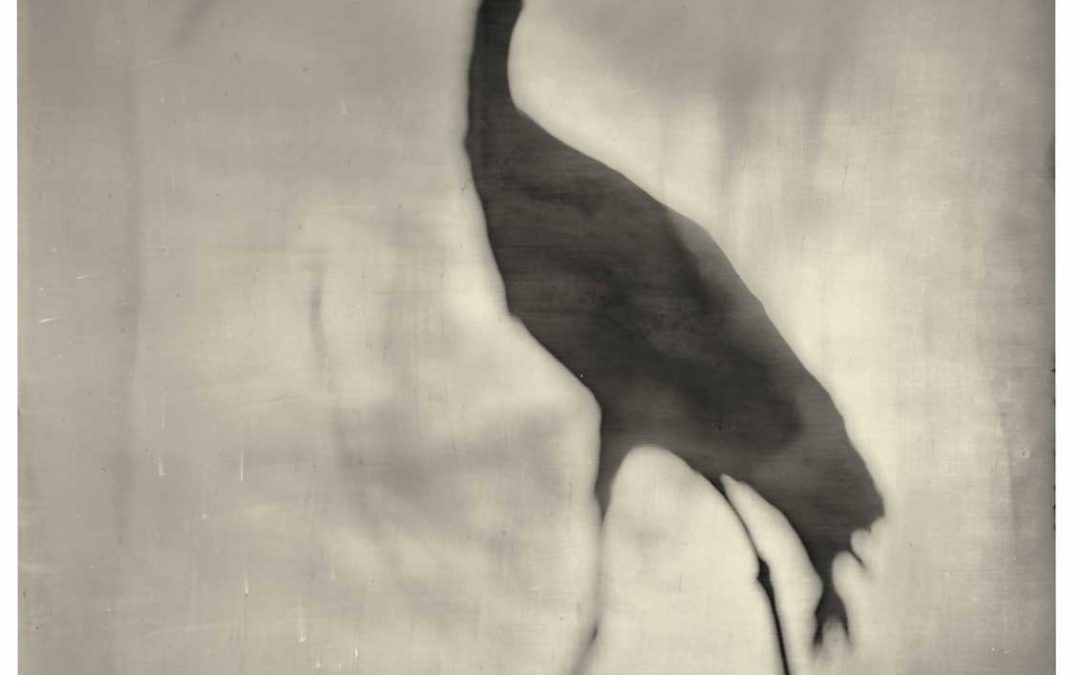 D&rsquo;AUTRE NATURE